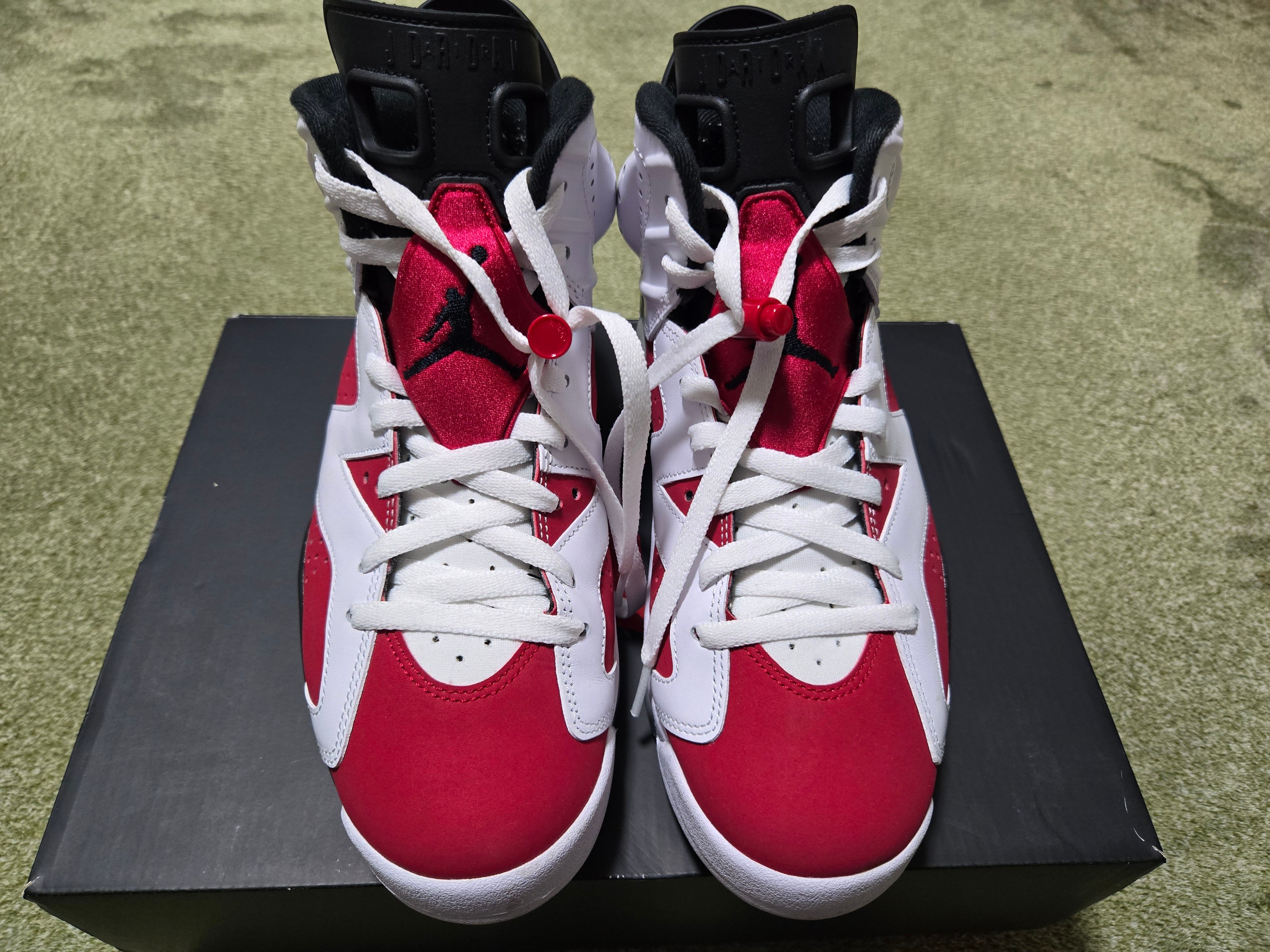 Nike Air Jordan 6 "Carmine" (2021)