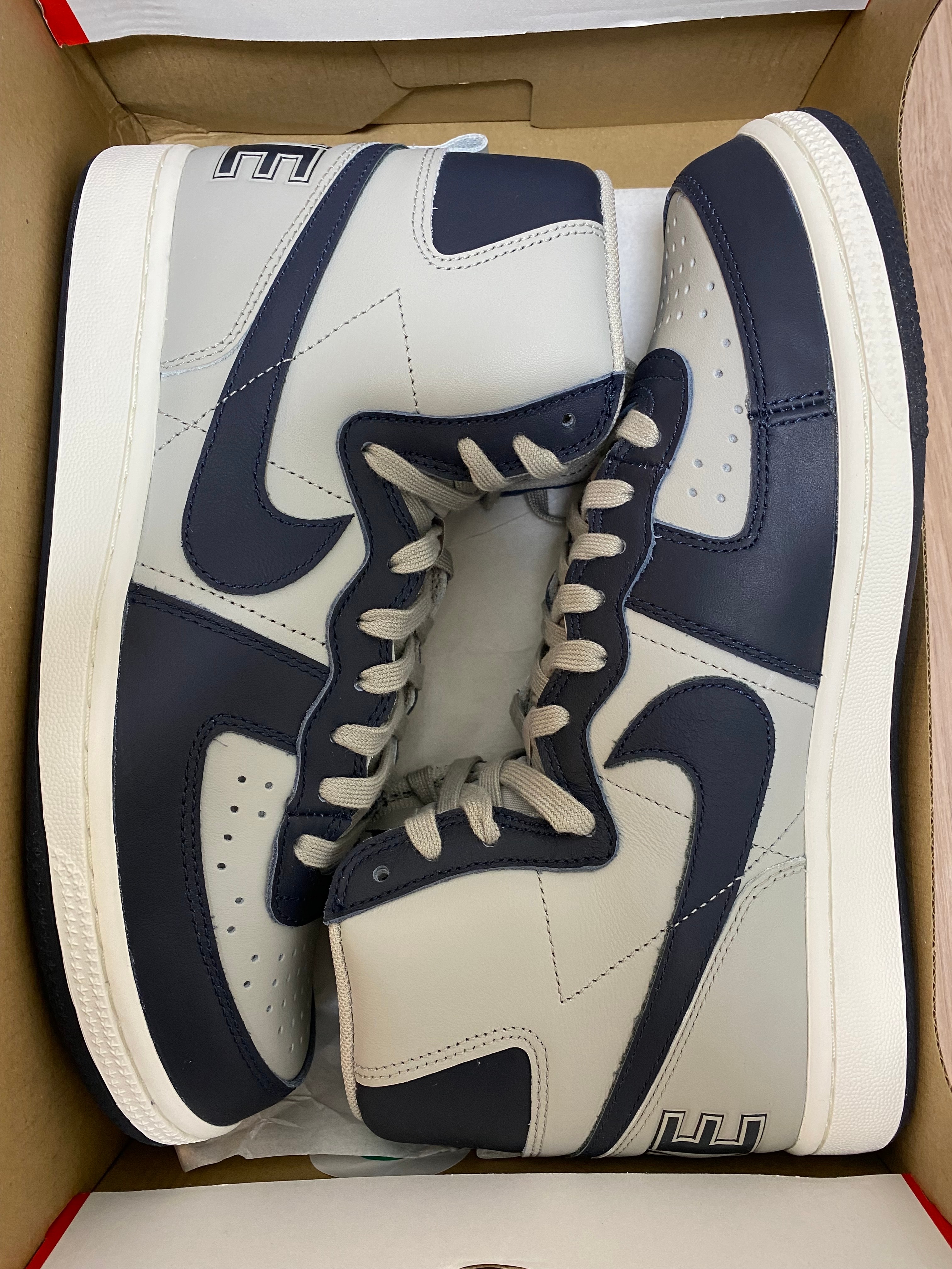 Nike Terminator High "Georgetown/Granite and Dark Obsidian"(2022)