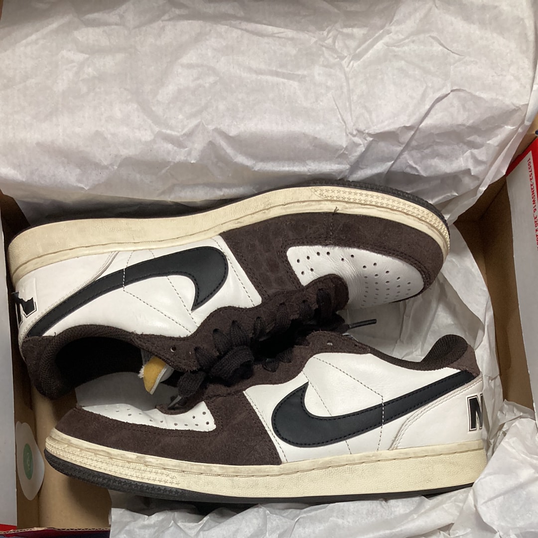 Nike Terminator Low "Velvet Brown"