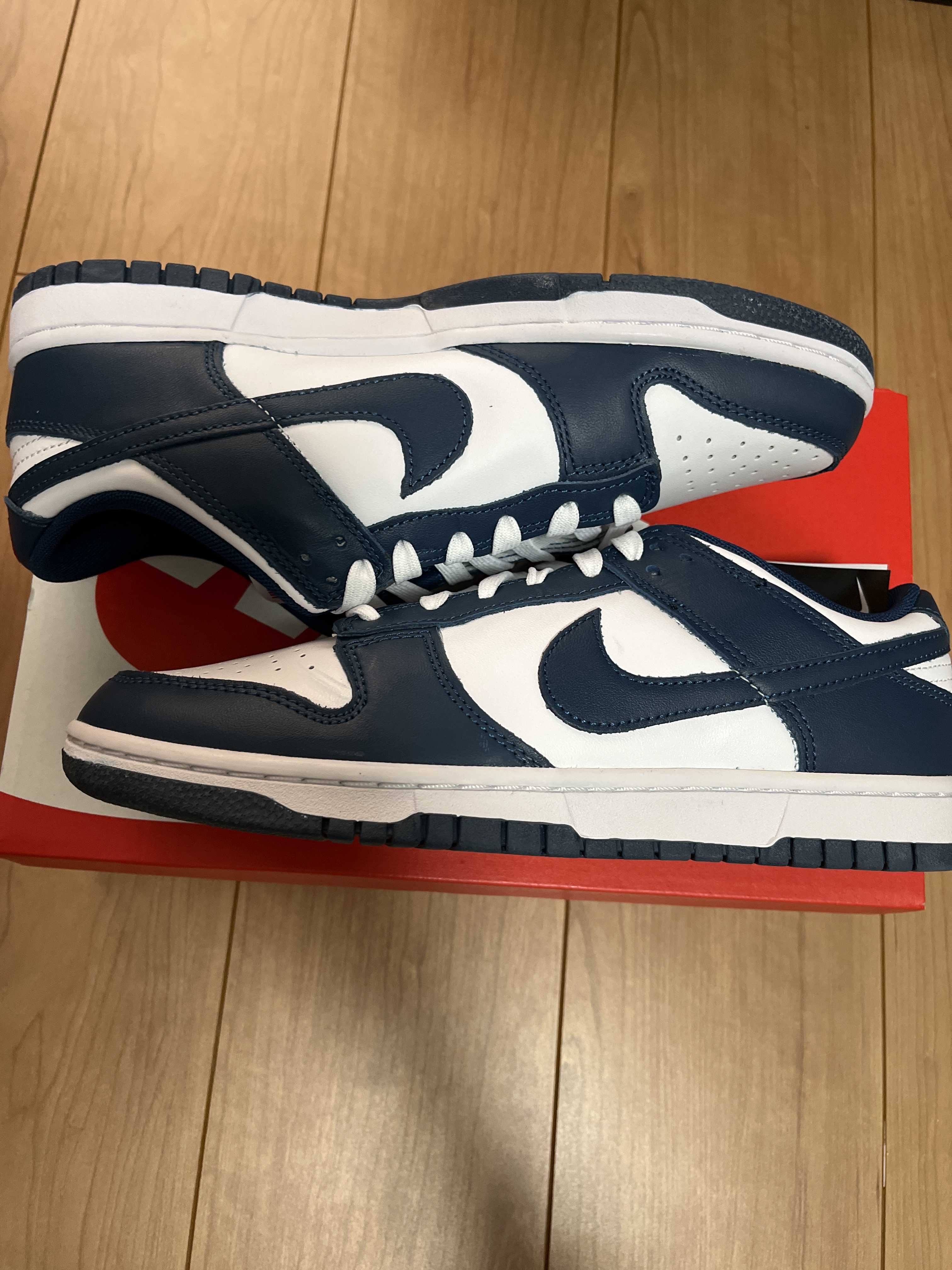 Nike Dunk Low "Valerian Blue"