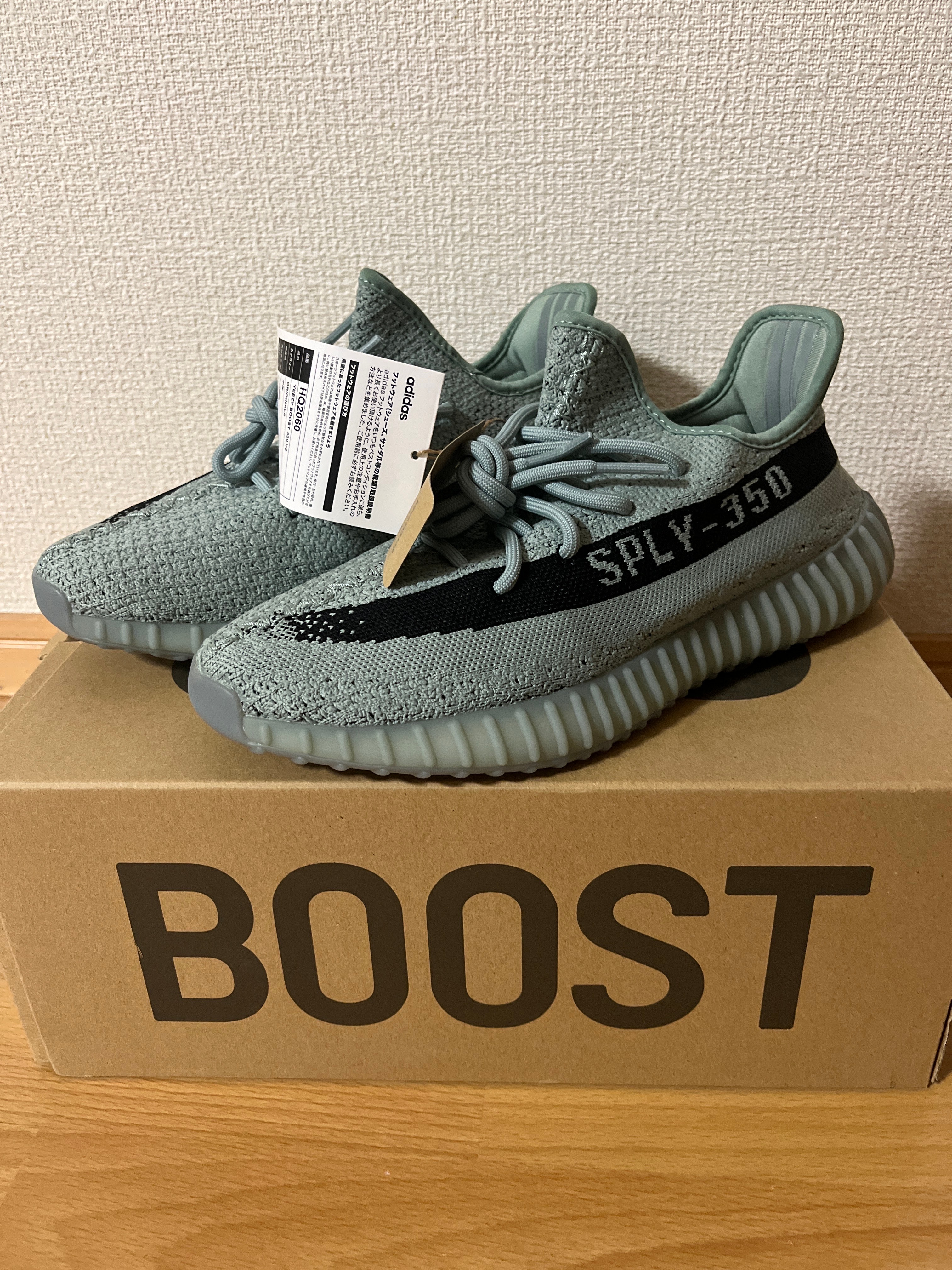 adidas YEEZY Boost 350V2 "Salt/Core Black"