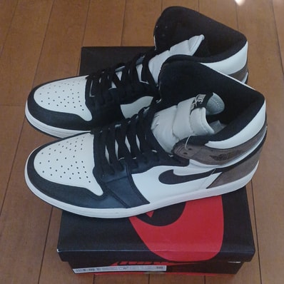 Nike Air Jordan 1 High OG "Sail/Dark Mocha/Black"
