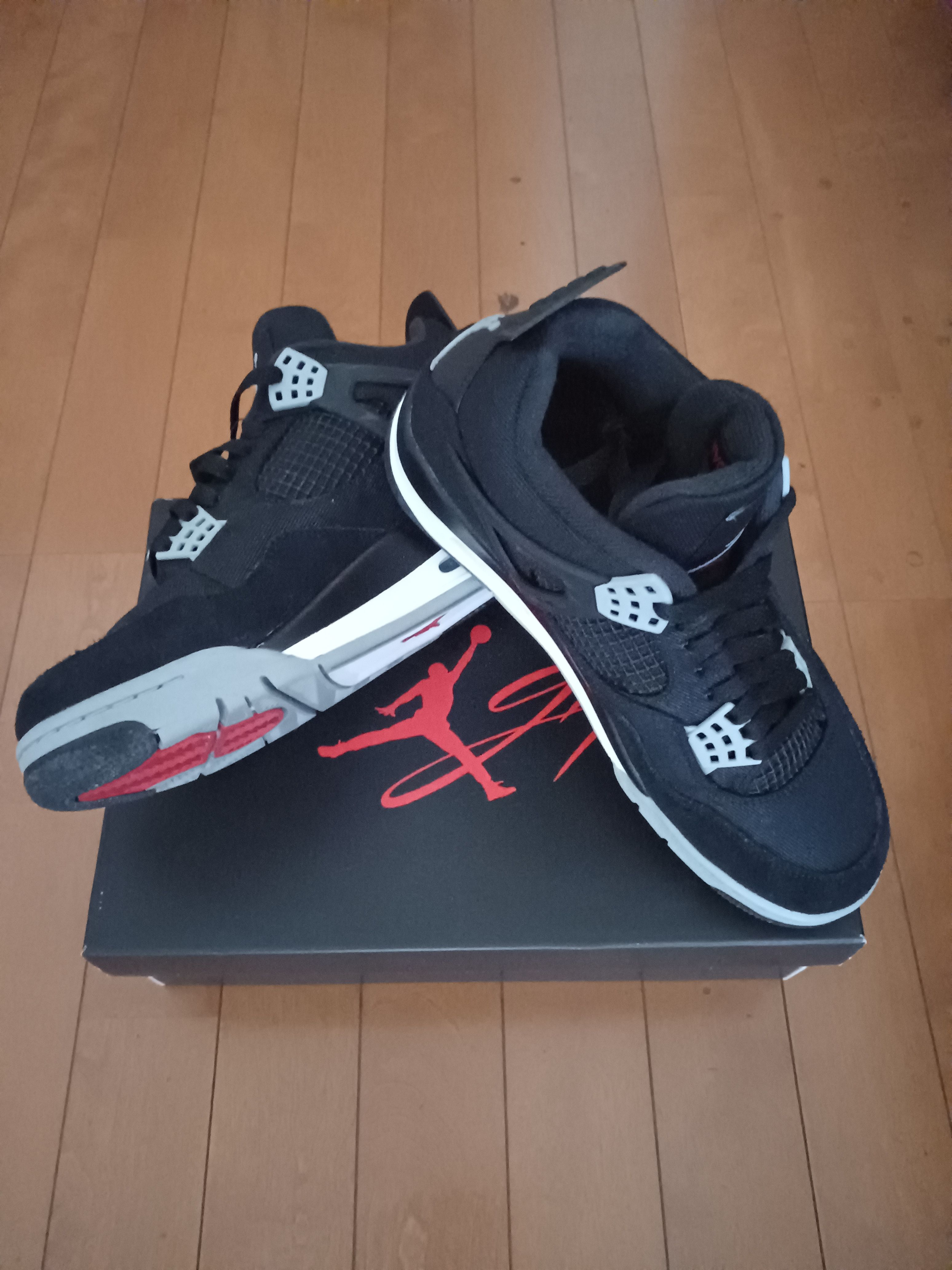 Nike Air Jordan 4 SE "Black and Light Steel"