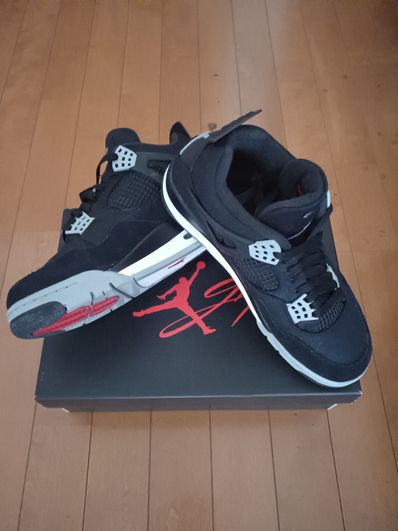 Nike Air Jordan 4 SE "Black and Light Steel"