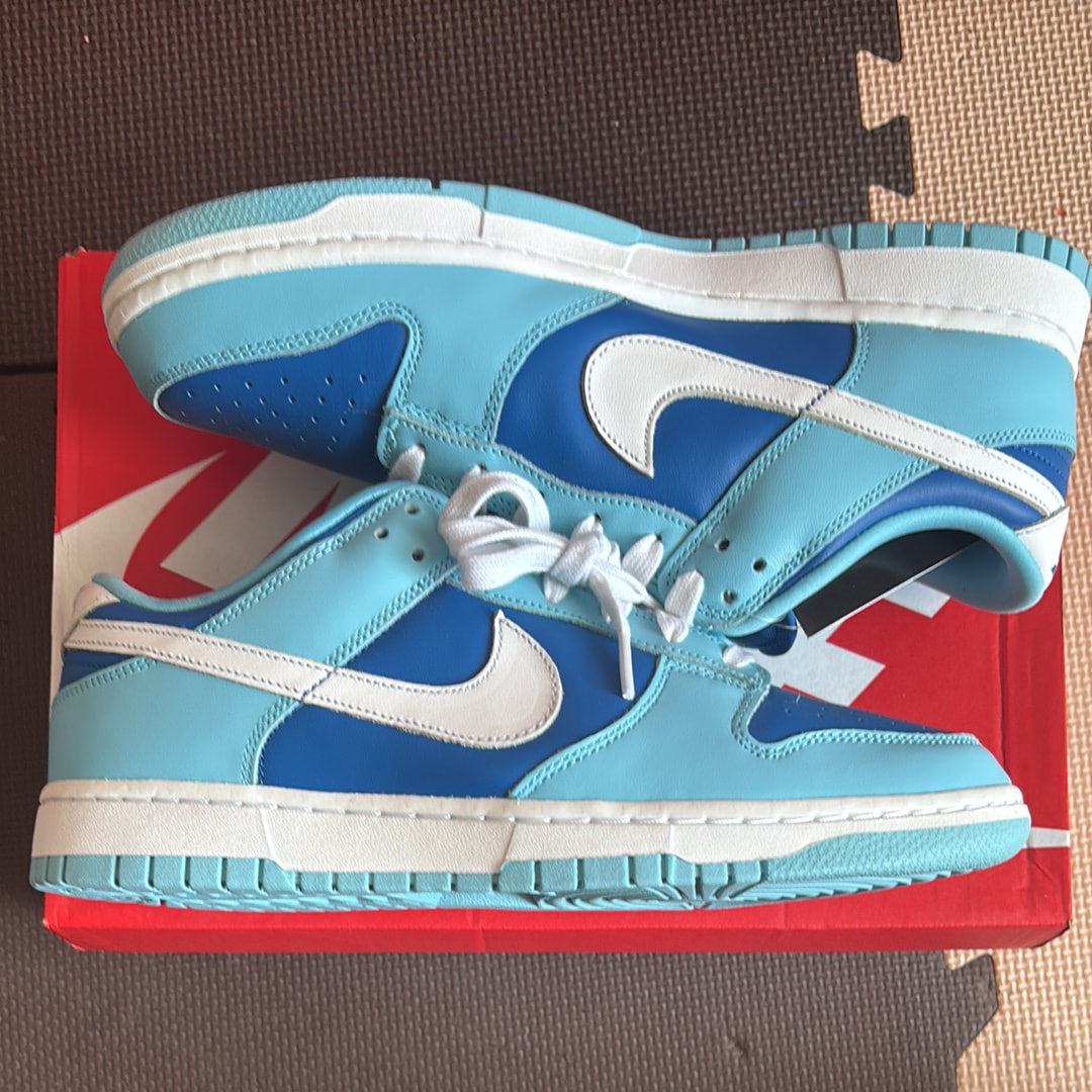 Nike Dunk Low Retro QS "Argon" (2022)