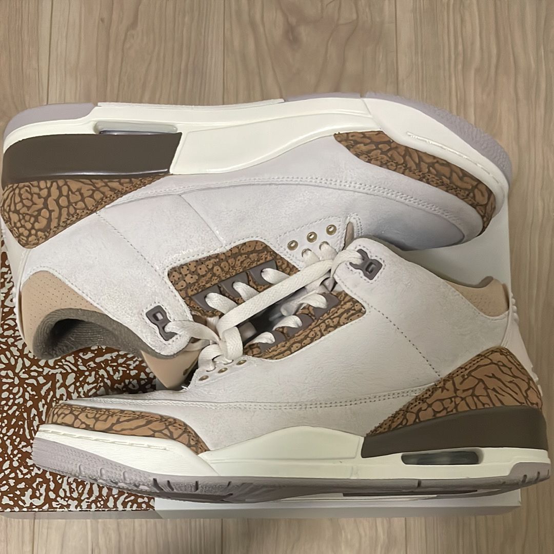 Nike Air Jordan 3 Retro "Orewood Brown"