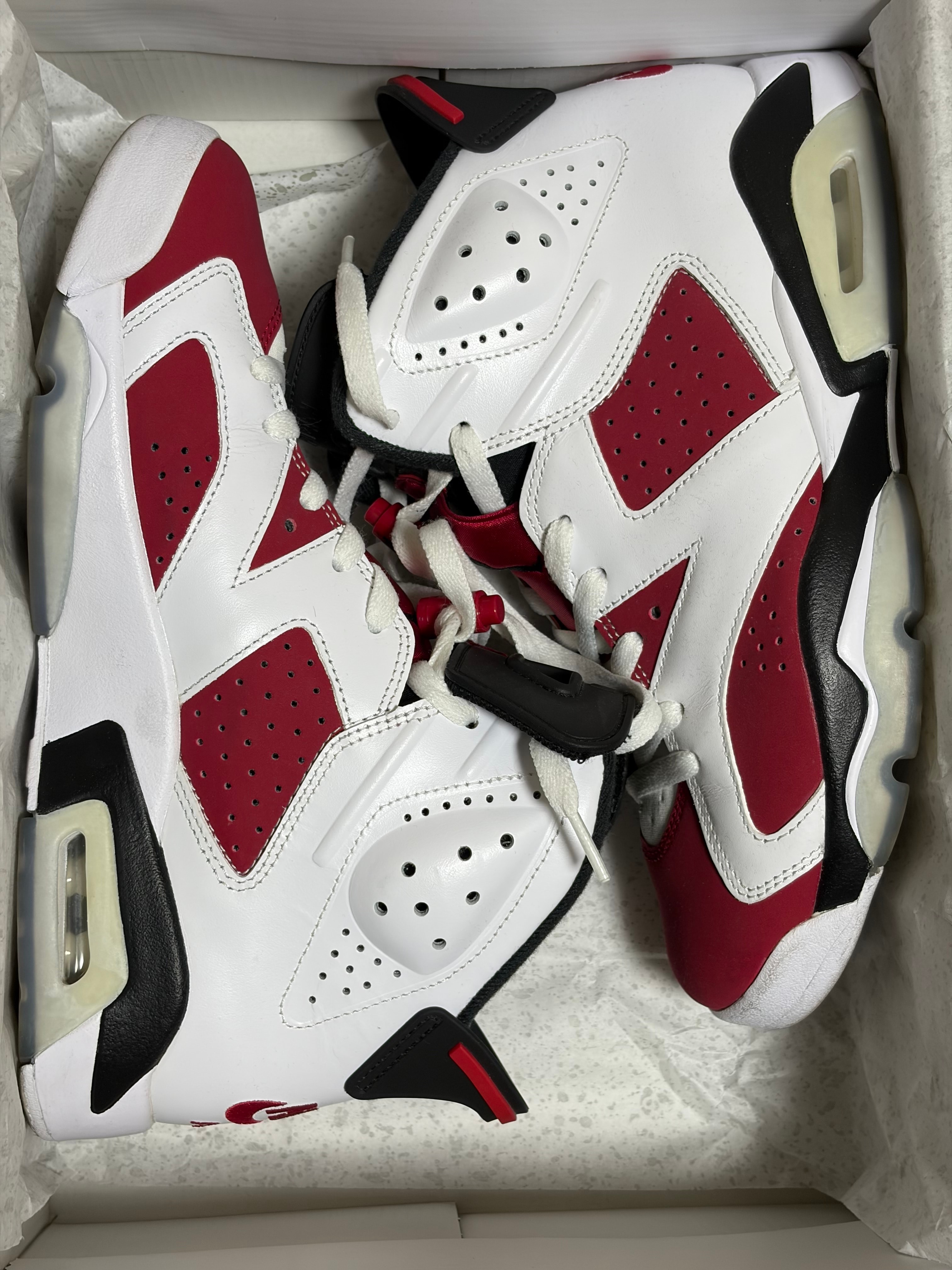 Nike Air Jordan 6 "Carmine" (2021)