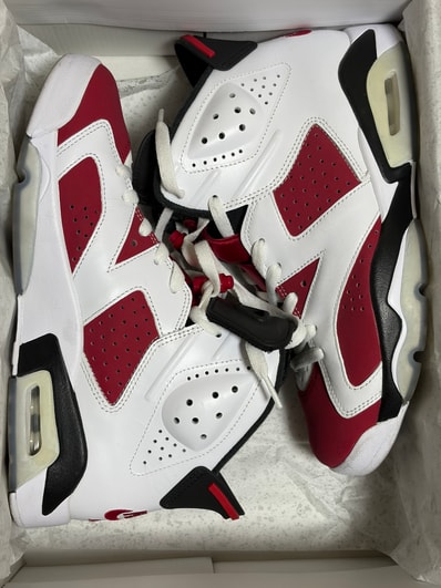 Nike Air Jordan 6 "Carmine" (2021)