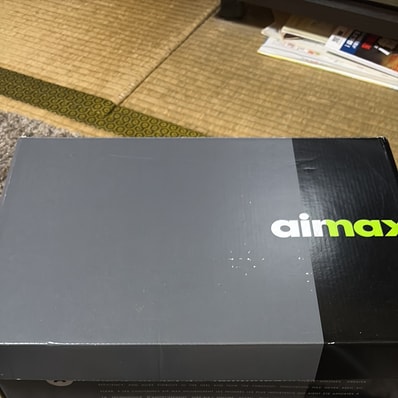 Nike Air Max 95 OG "Yellow Gradation" (2018)