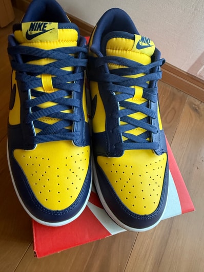 Nike Dunk Low "Michigan"