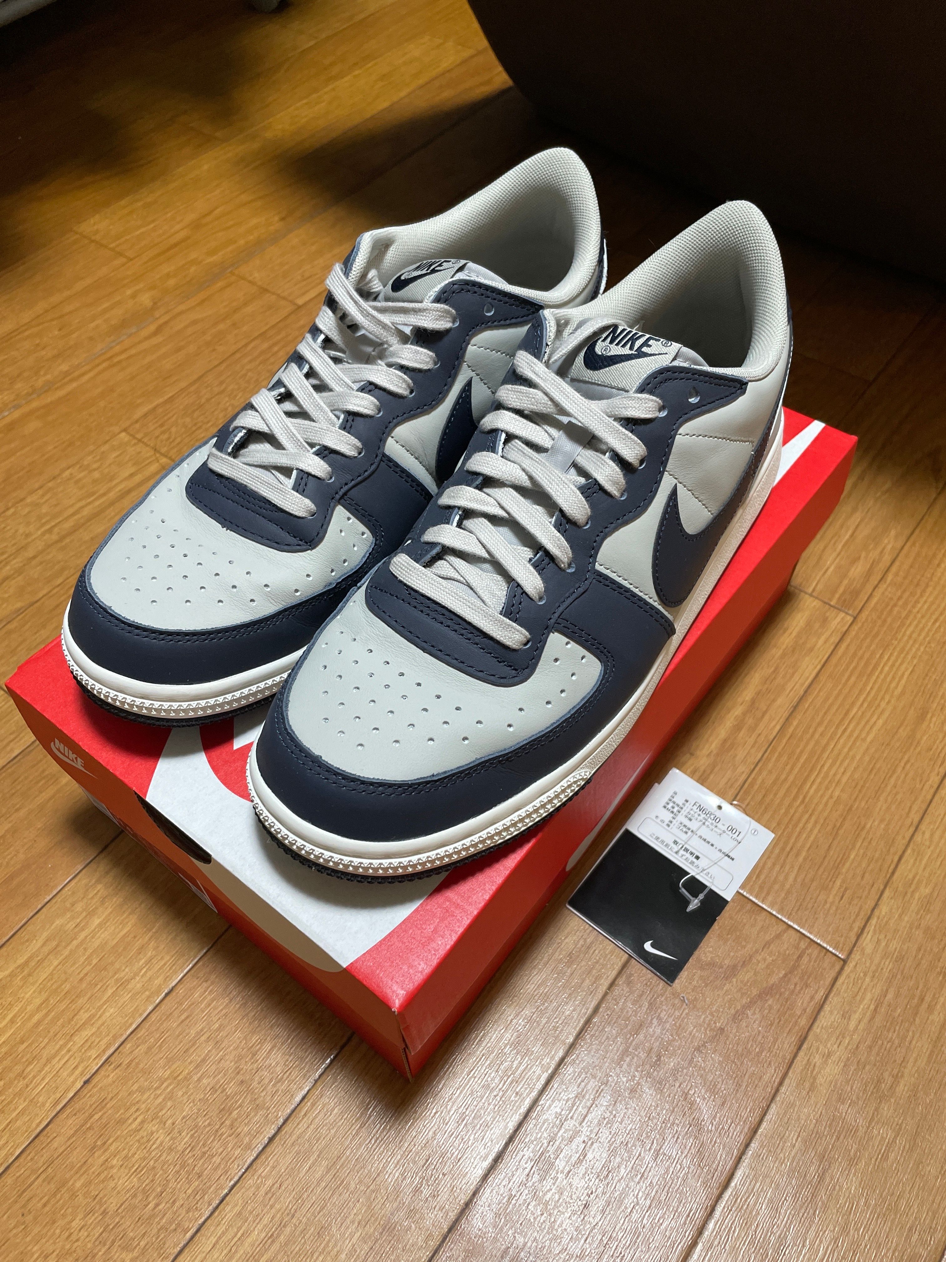 Nike Terminator Low "Dark Obsidian and Granite/Georgetown"(2023)