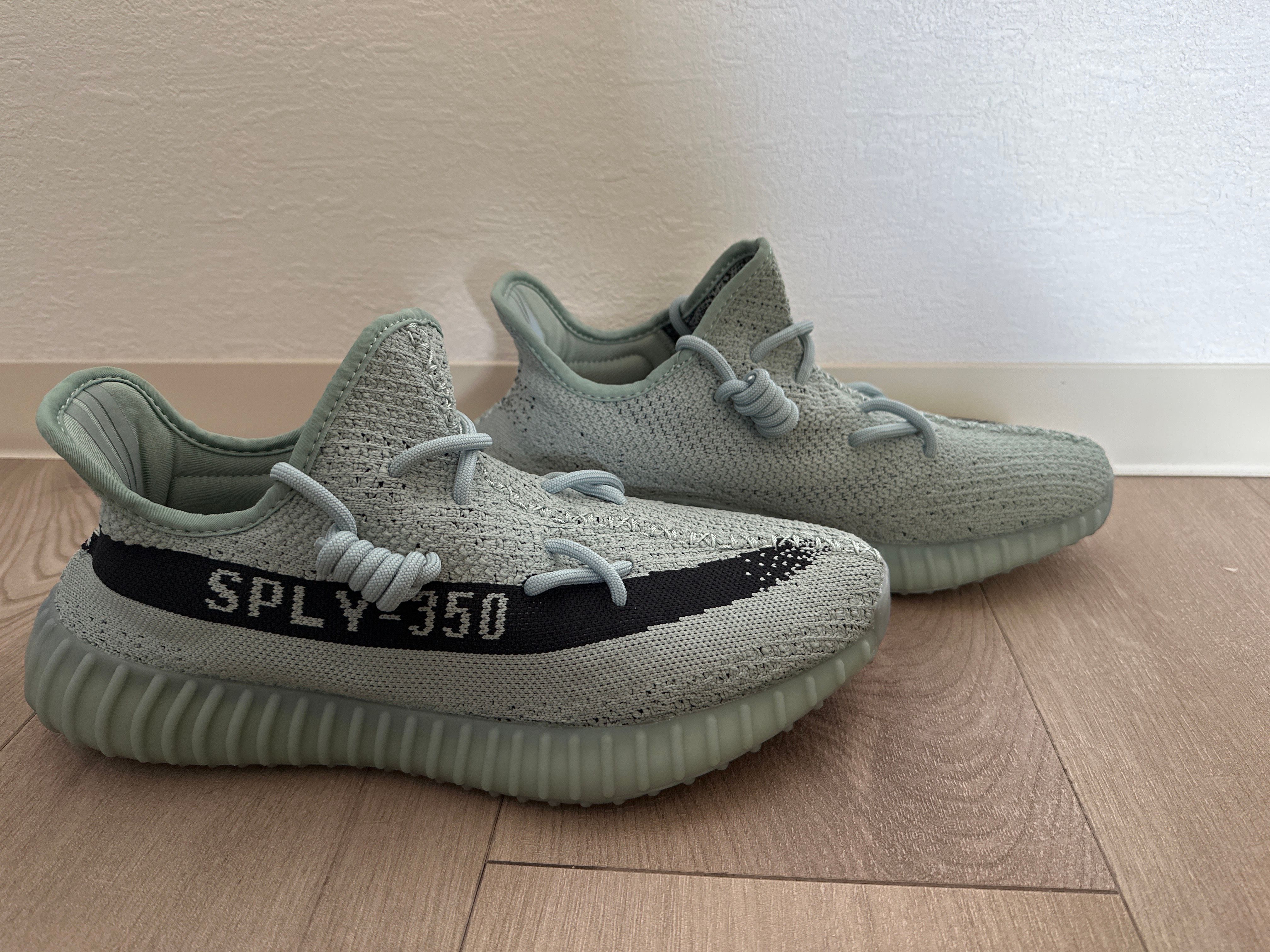 adidas YEEZY Boost 350V2 "Salt/Core Black" 