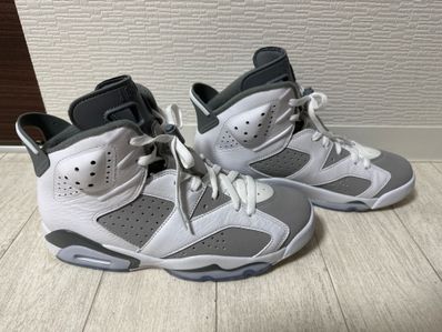 Nike Air Jordan 6 "Cool Grey"