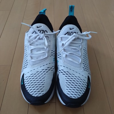 Nike Air Max 270 "Dusty Cactus"