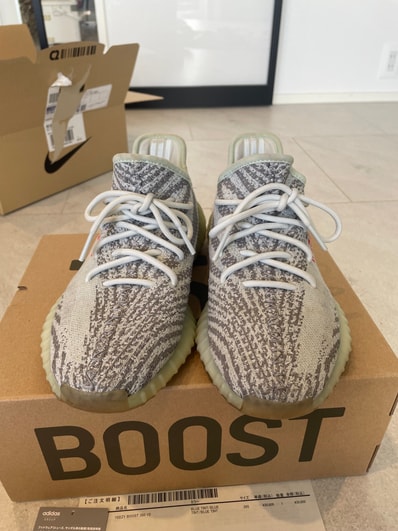 adidas YEEZY Boost 350 V2 "Blue Tint"