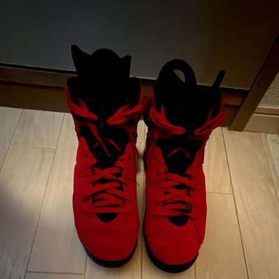Nike Air Jordan 6 Retro "Toro Bravo"