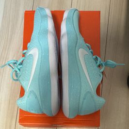 ナイキ ハイパーダンク2017 ロー "ティファニー"