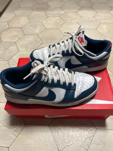 Nike Dunk Low "Valerian Blue"