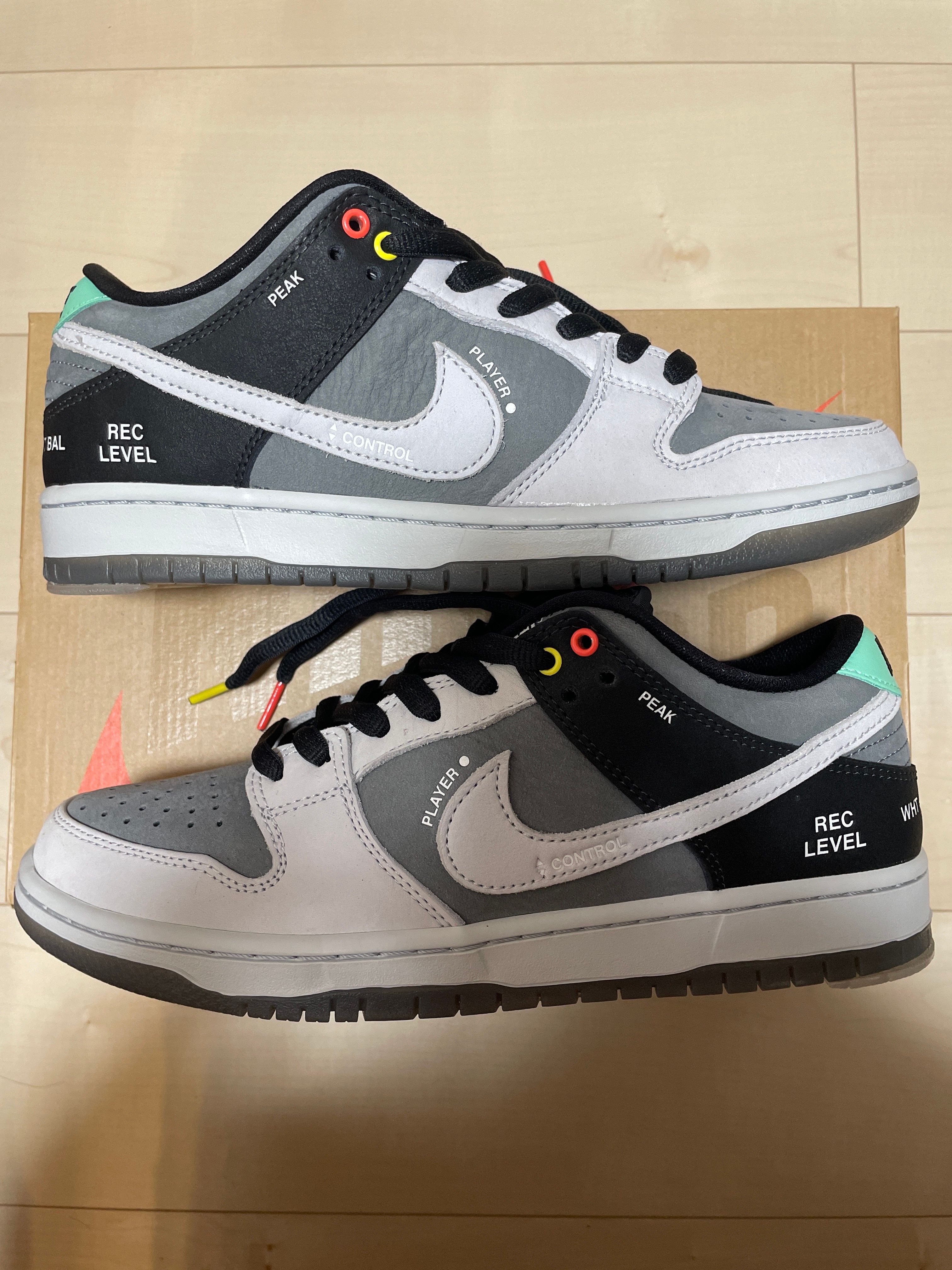 Nike SB Dunk Low Pro "VX1000 Camcorder"