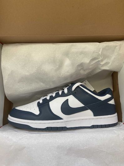 Nike Dunk Low "Valerian Blue"