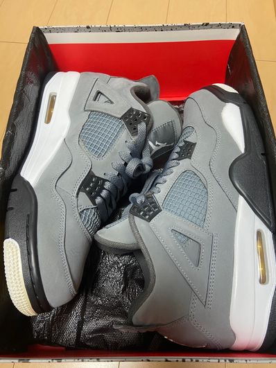 Nike Air Jordan 4 "Cool Grey"