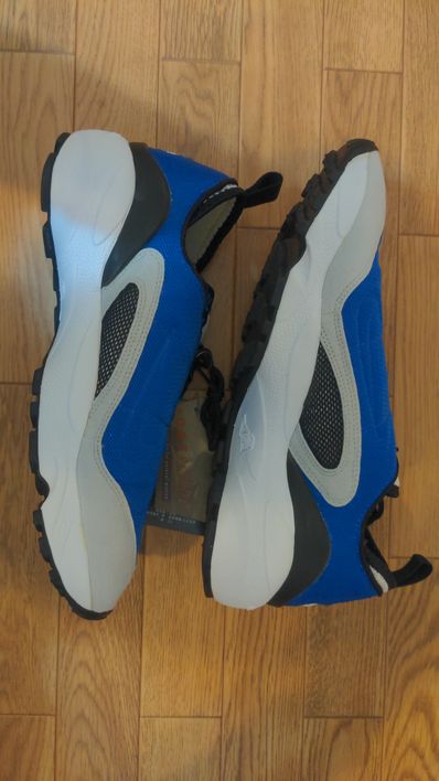 Nike Air Footscape "Varst Royal/White"(2005)