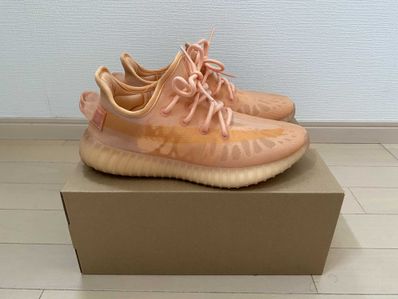adidas YEEZY Boost 350 V2 "Mono Clay"