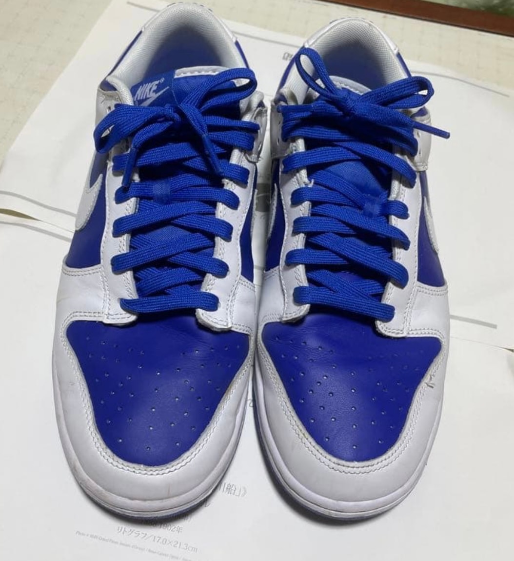 Nike Dunk Low Retro "Racer Blue and White"