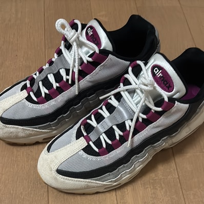 Nike SB Air Max 95 "Summit White/Cactus Flower"