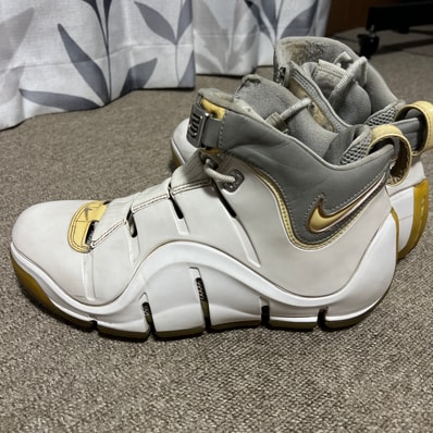 Nike LeBron 4 "White Chrome"