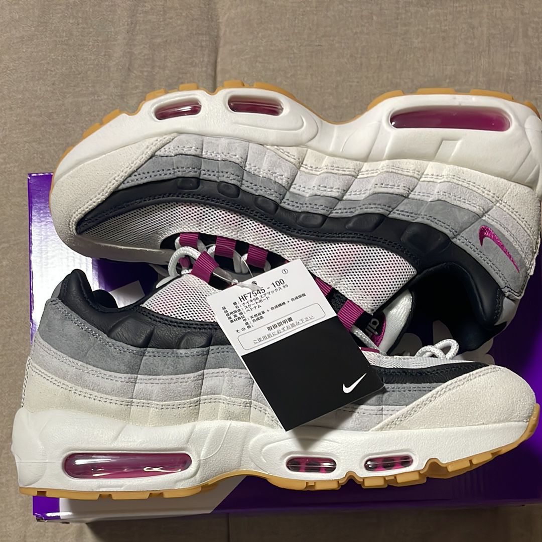 Nike SB Air Max 95 "Summit White/Cactus Flower"