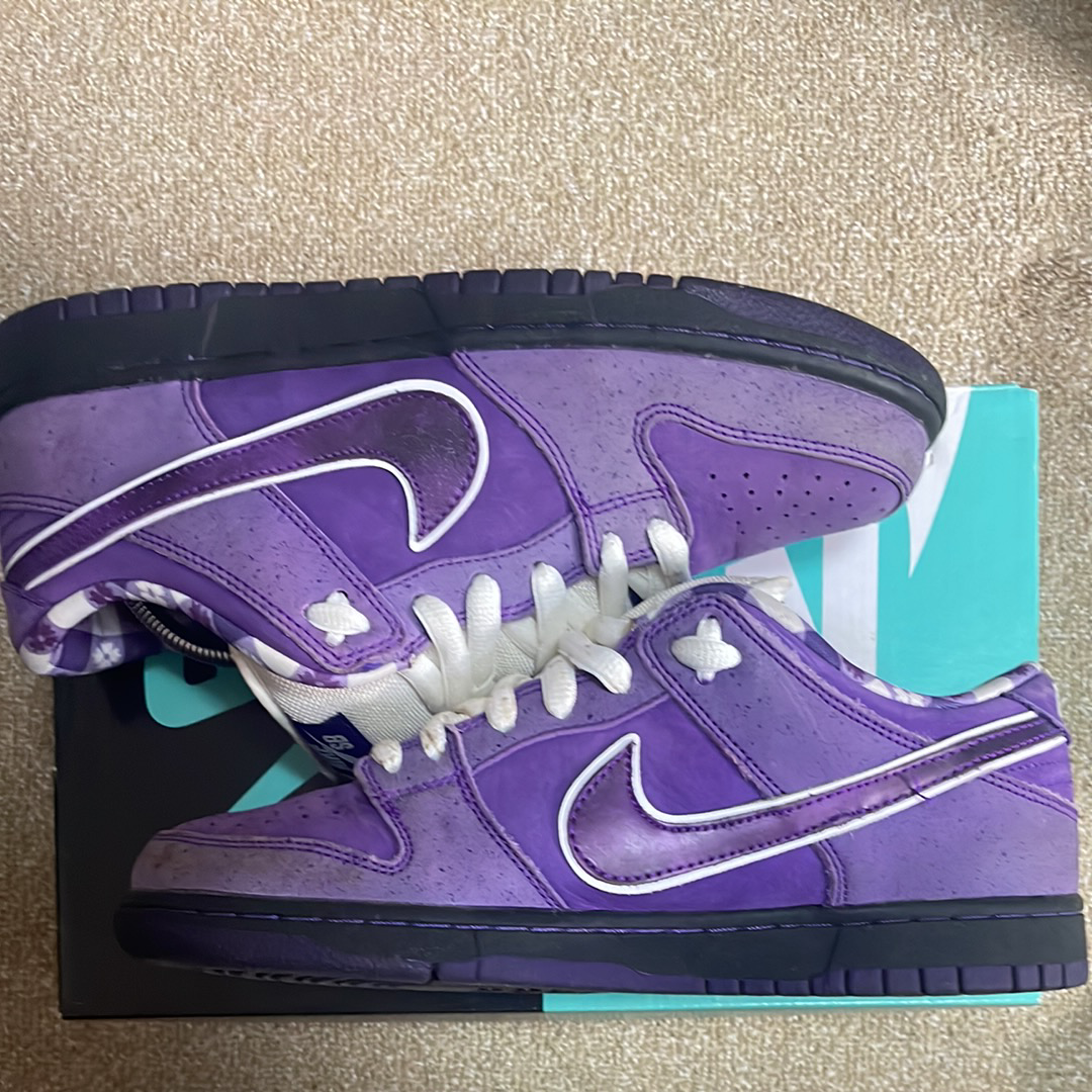 Concepts × Nike SB Dunk Low "Purple Lobster"