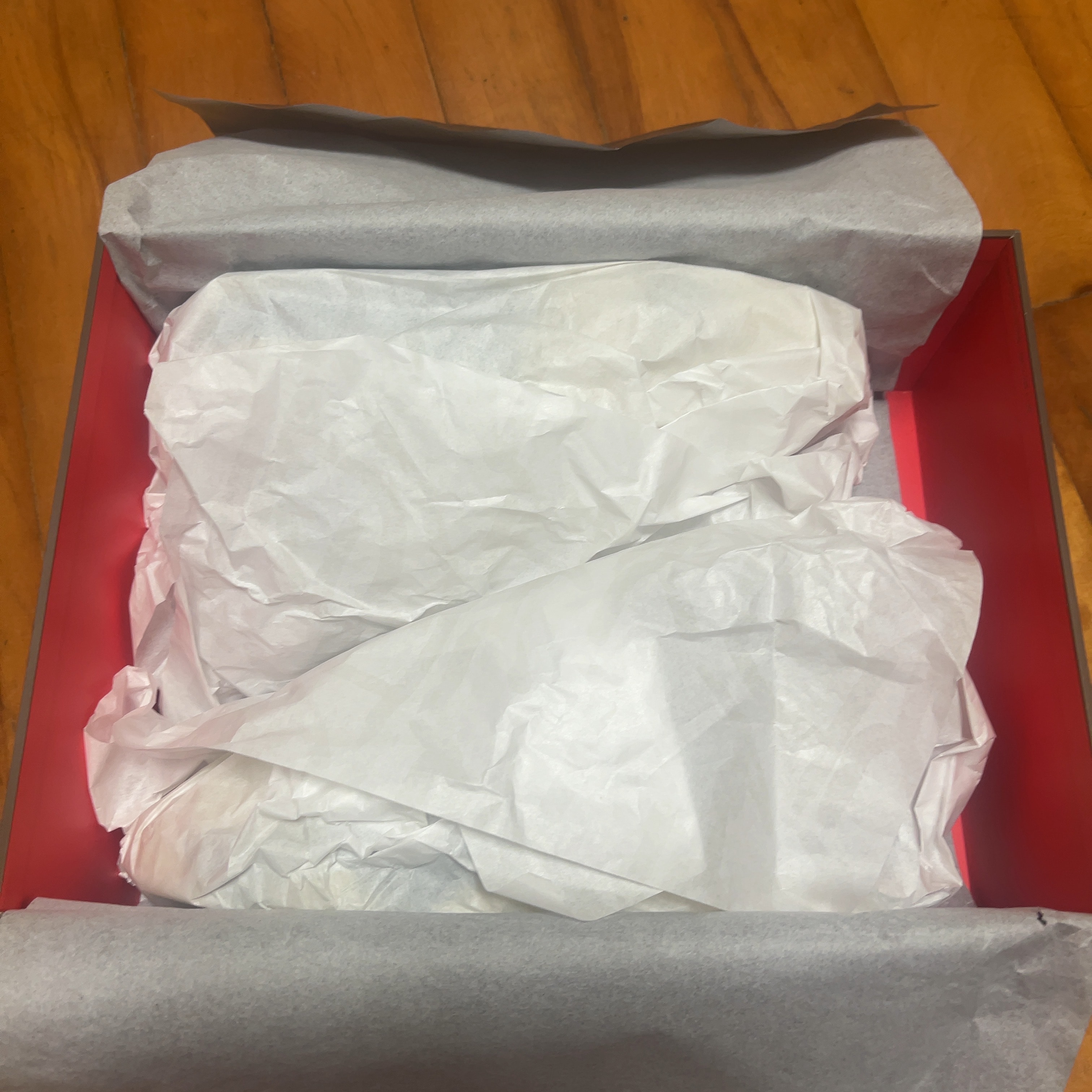 トラヴィススコット × ナイキ ジョーダン ジャンプマンジャック TR CJ1 T-Rexx "ブライトカクタス"