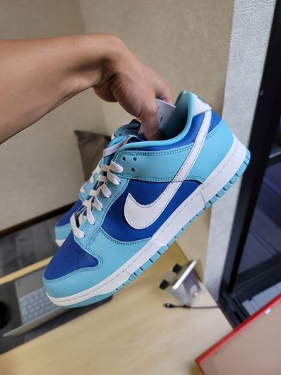 Nike Dunk Low Retro QS "Argon" (2022)