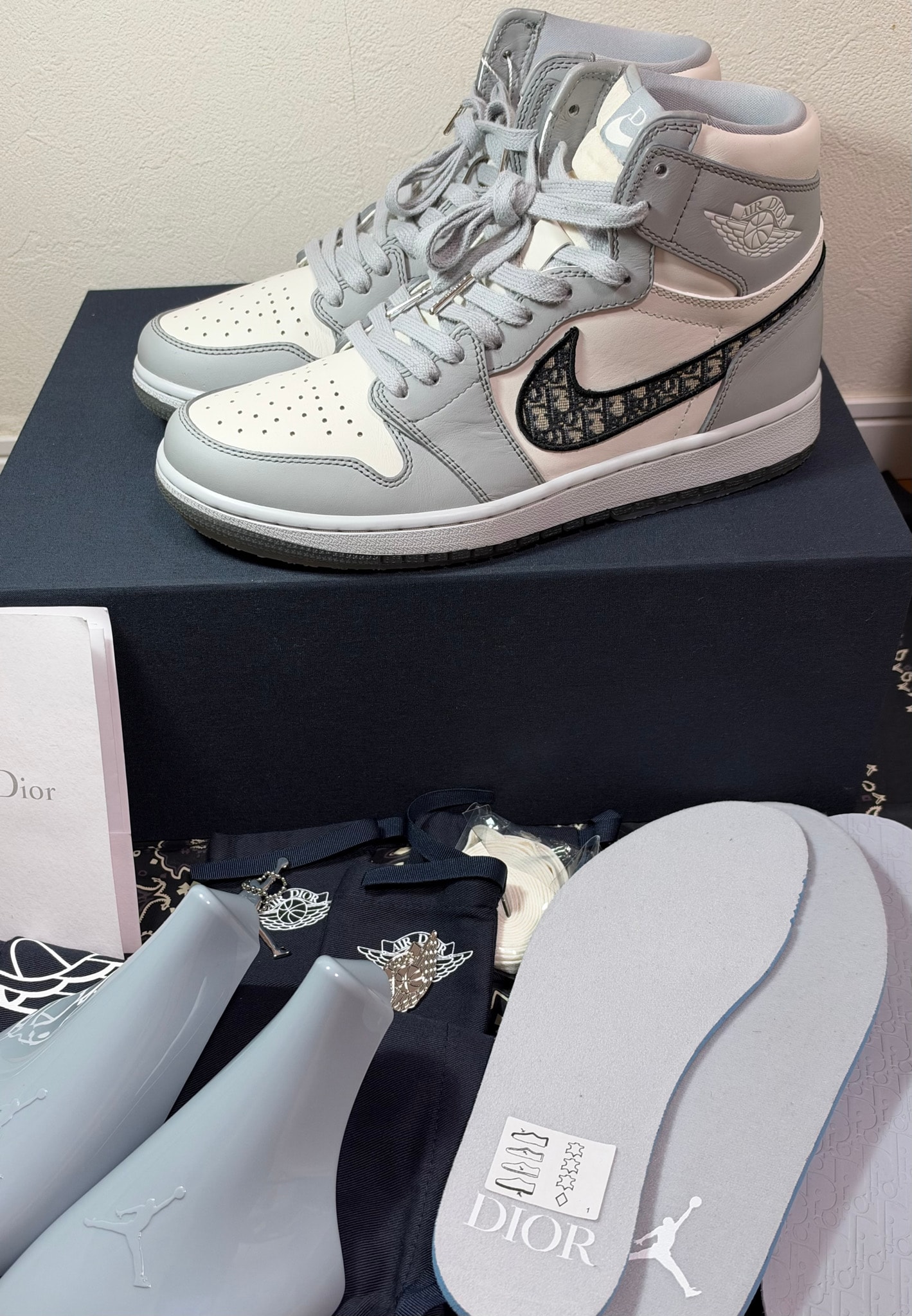 Dior × Nike Air Jordan 1 High OG "Wolf Grey"