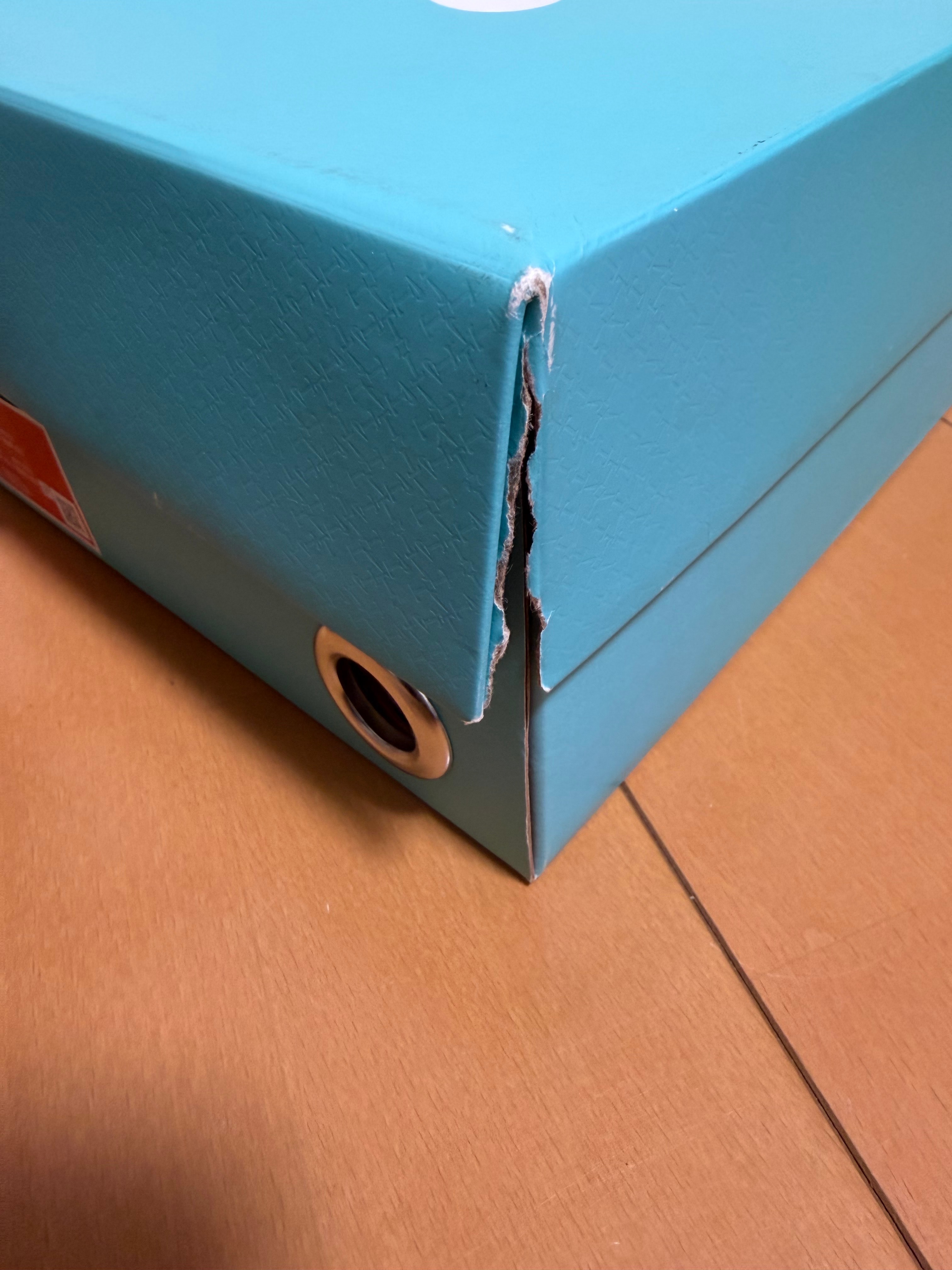 Tiffany & Co. × Nike Air Force 1 Low "1837"