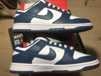 Nike Dunk Low "Valerian Blue"