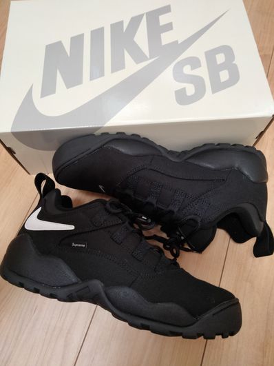 Supreme × Nike SB Darwin Low "Black"