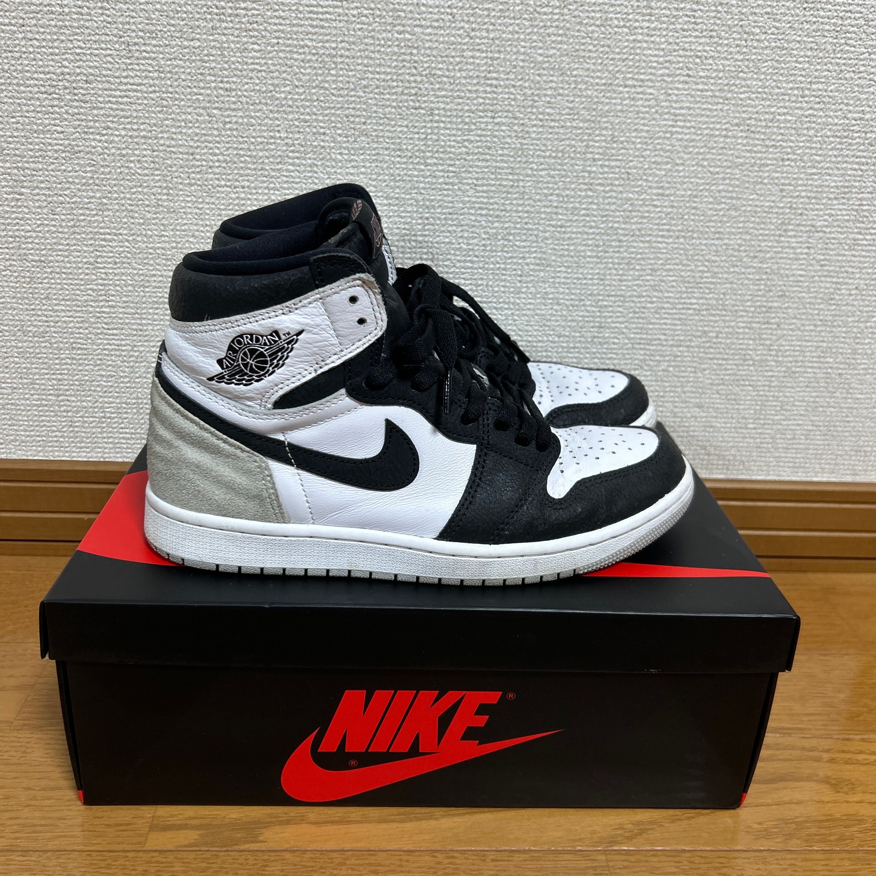 Nike Air Jordan 1 High OG "Bleached Coral"