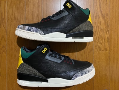 Nike Air Jordan 3 Retro SE "Animal Instinct 2.0/Safari"