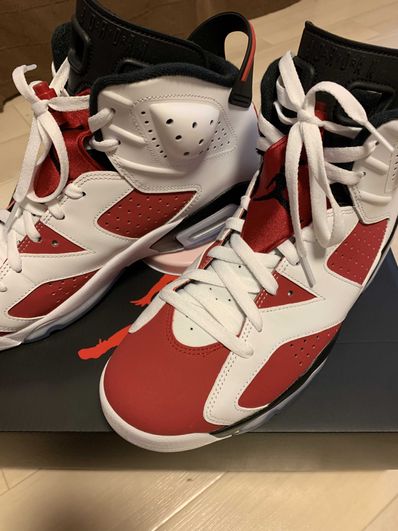 Nike Air Jordan 6 "Carmine" (2021)