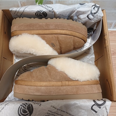 UGG Women's Tazzlita "Chestnut"