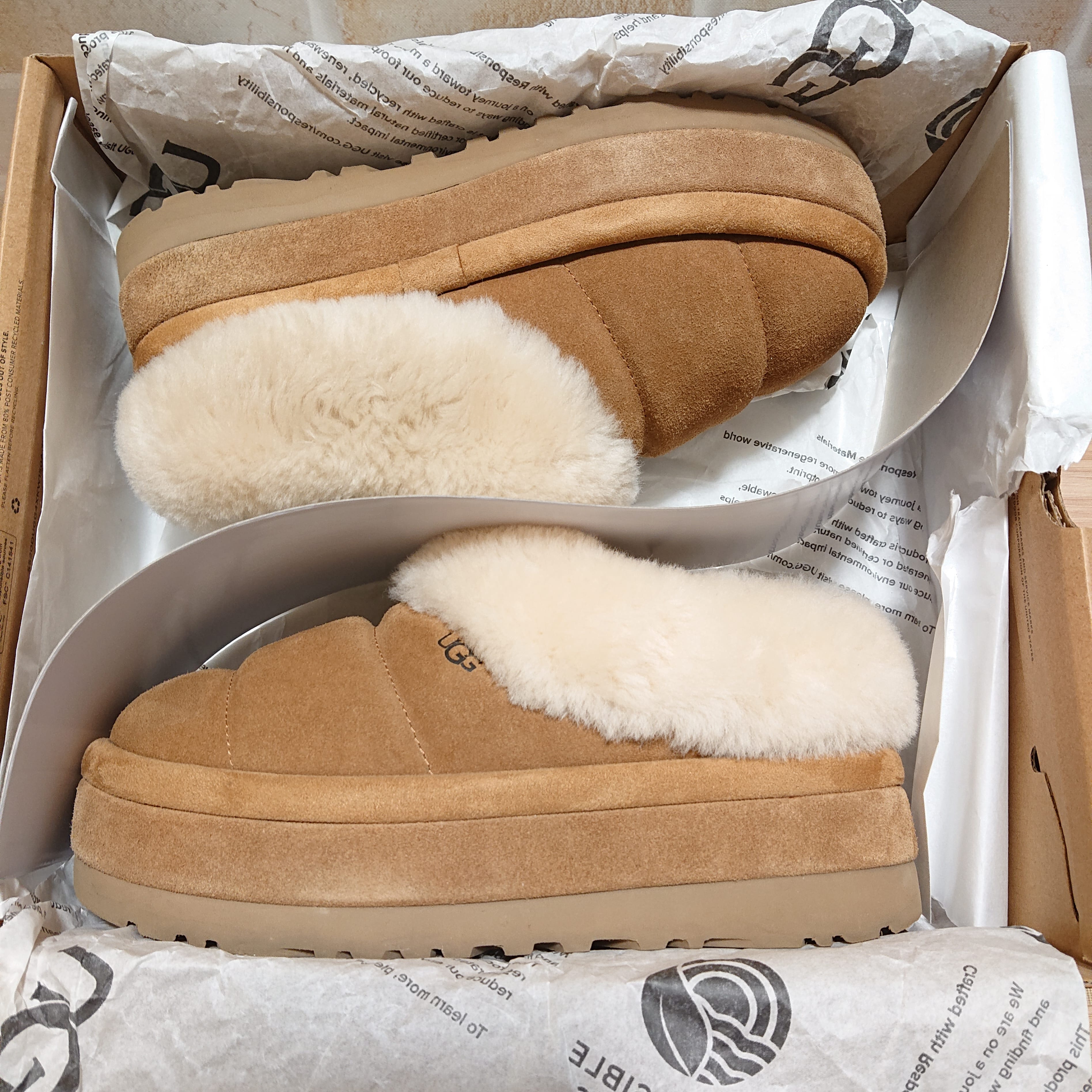 UGG Women's Tazzlita "Chestnut"
