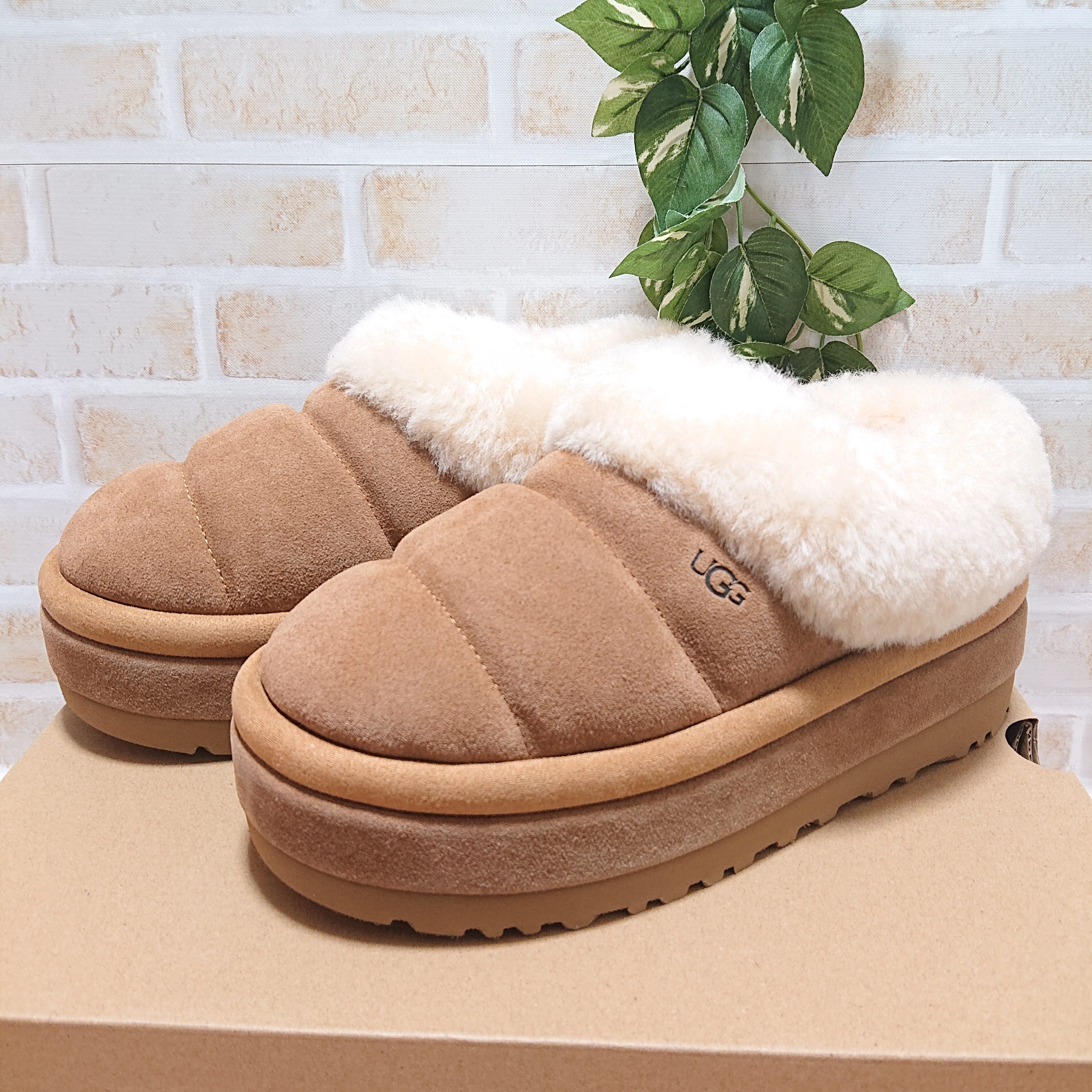 アグ ウィメンズ タズリータ "チェスナット" (厚底 ブーツ)