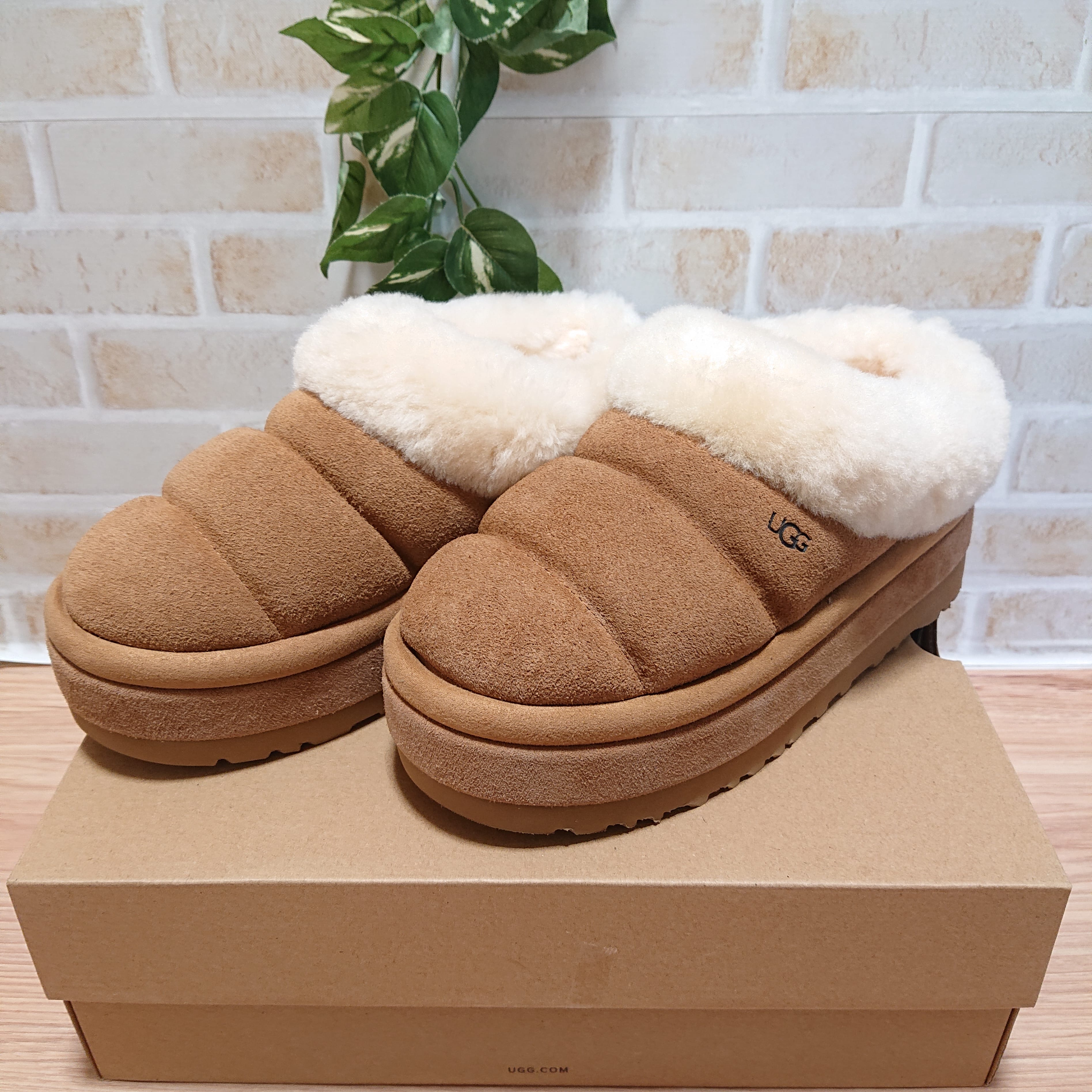 アグ ウィメンズ タズリータ "チェスナット" (厚底 ブーツ)