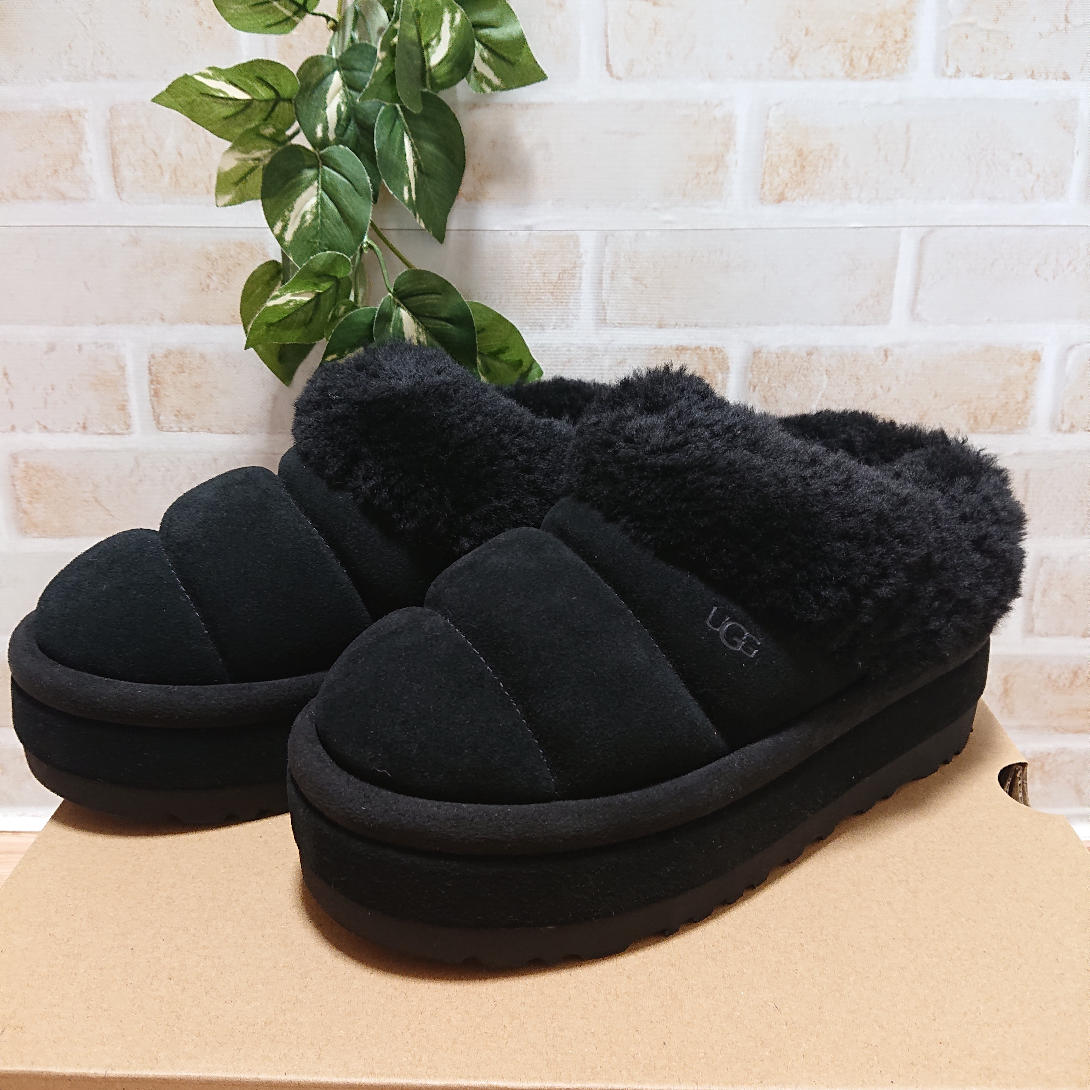 アグ ウィメンズ タズリータ "ブラック"