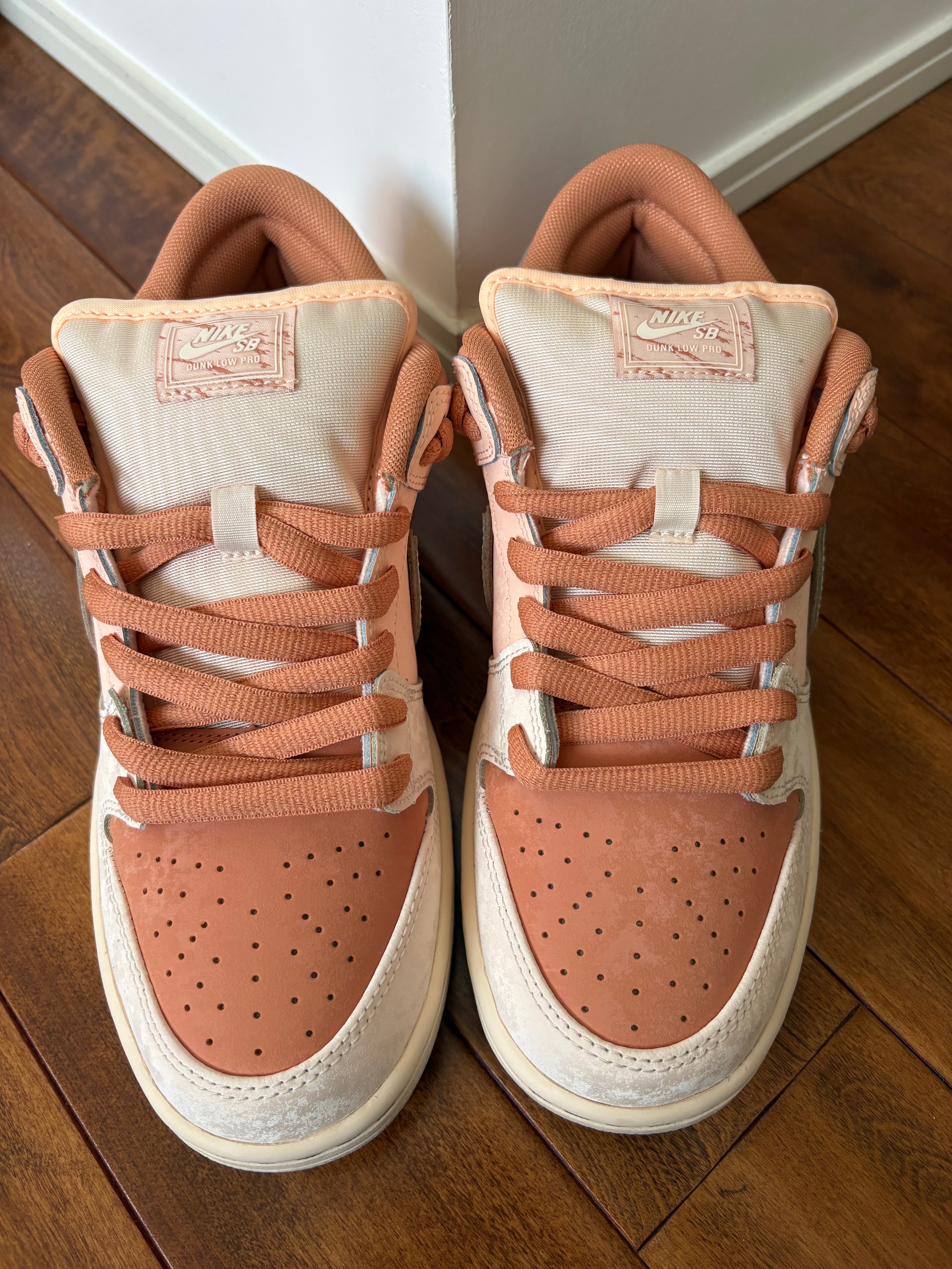 Nike SB Dunk Low Pro PRM "Crimson Tint and Amber Brown/Trocadero Gardens"