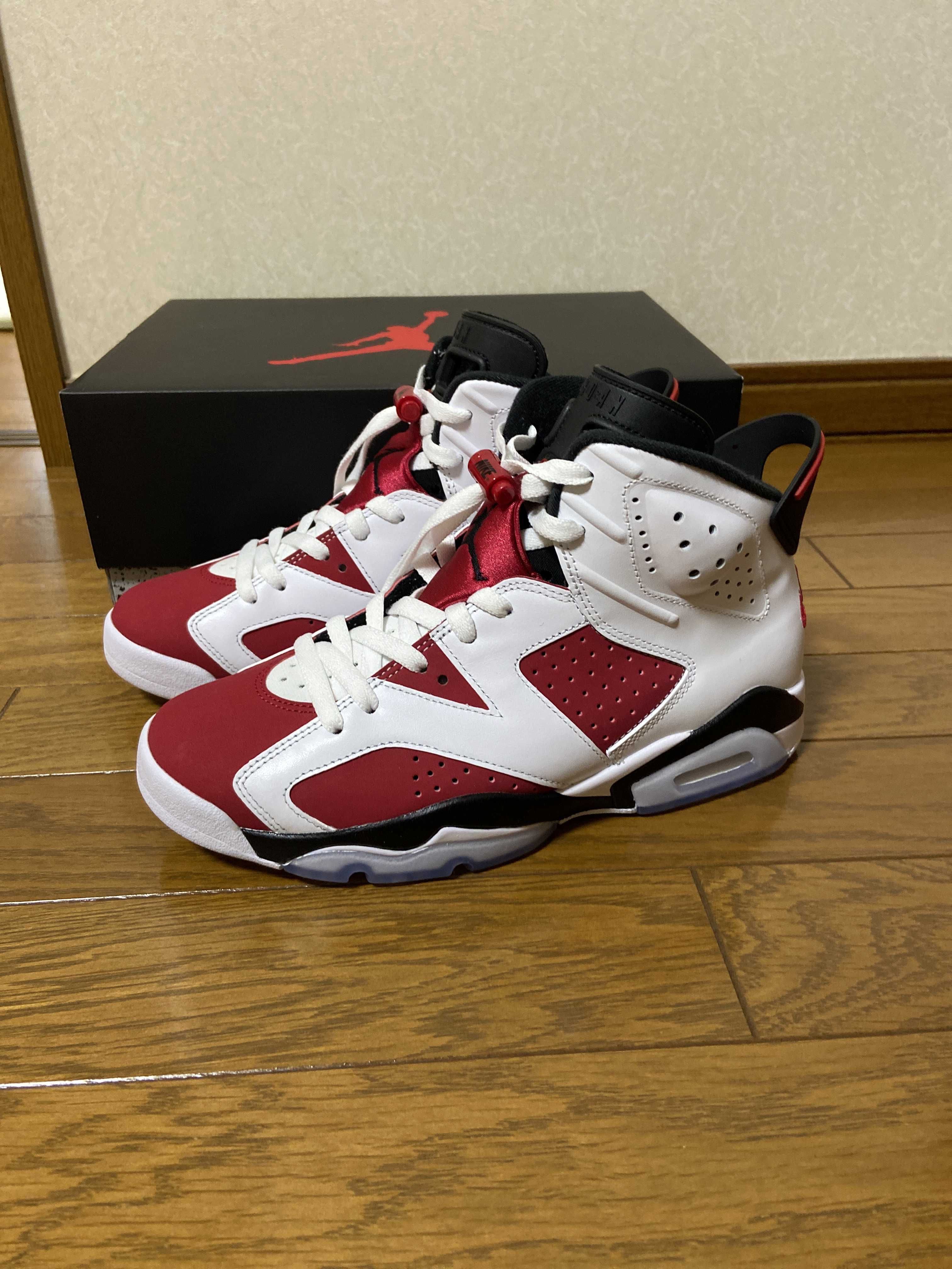 Nike Air Jordan 6 "Carmine" (2021)