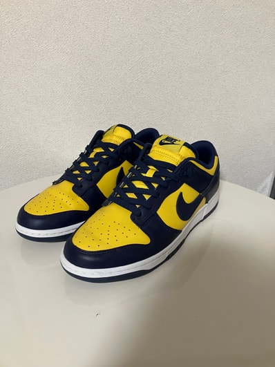 Nike Dunk Low "Michigan"
