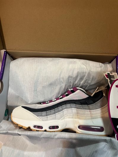 Nike SB Air Max 95 "Summit White/Cactus Flower"